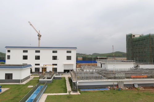 以学促干，赋能绿色基建 灵山环保水务项目高质量通过竣工验收